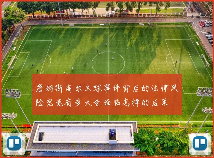 詹姆斯高尔夫球事件背后的法律风险究竟有多大会面临怎样的后果